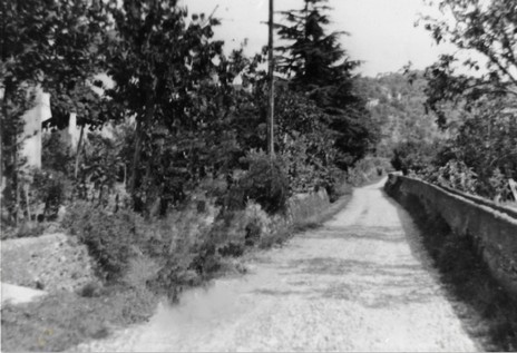 2019-06-01_124307_San Giovanni 1950_2.jpg