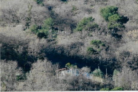 2019-06-02_083001_Collina Canossi 2006.jpg
