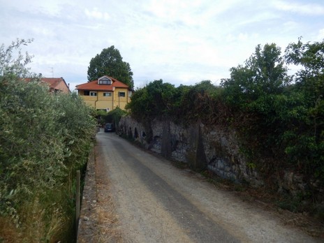 DSCN4762.JPG