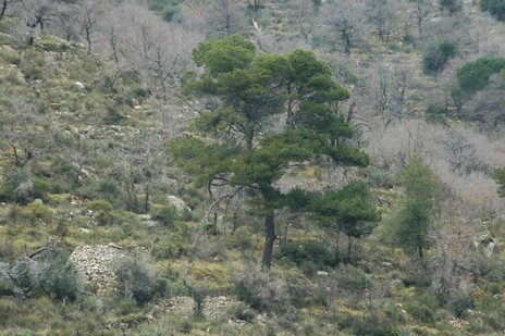 DSC_0104.JPG