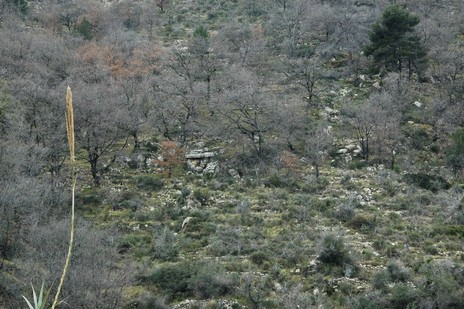 DSC_0127.JPG