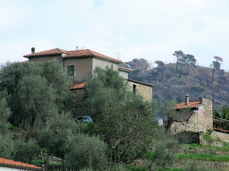 Siffredi 03 (2) - Copia.JPG