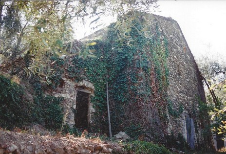 713 - Copia.jpg