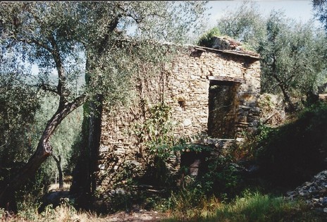 714 - Copia.jpg