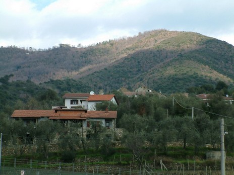 Divizi 01 - Copia.JPG