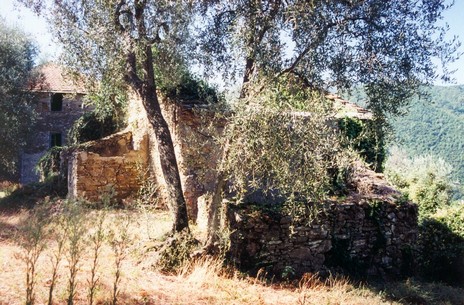 Divizi 03 - Copia.JPG