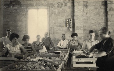2020-10-30_183939 - Torrengo 1954 - Copia.jpg