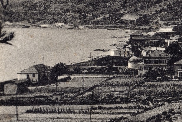 1950_6 (3).jpg