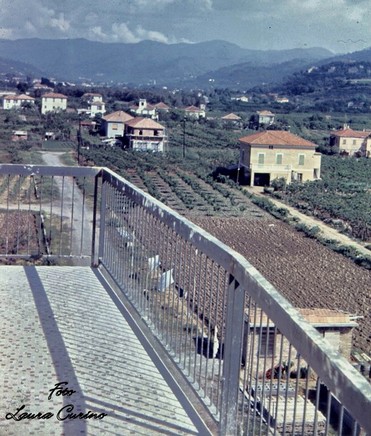 1962 - Laura Curino (1)a1a - Copia.jpg