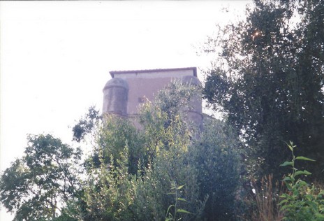 553.jpg