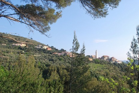 DSC_2899_a.jpg