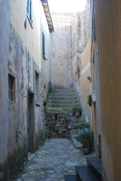 DSC_2905.JPG
