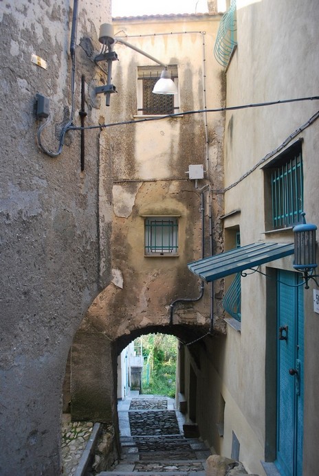 DSC_2909.JPG