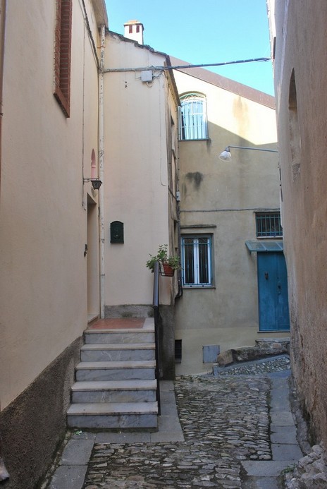 DSC_2911.JPG