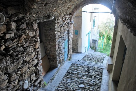DSC_2913_a.jpg
