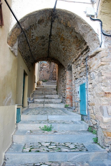 DSC_2930_a.jpg