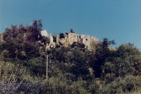 2019-06-01_094321_Case Stalla 1996.jpg