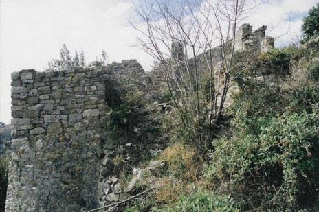 2019-06-01_094450_Case Stalla 1996.jpg