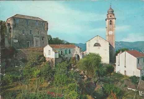 229.jpg